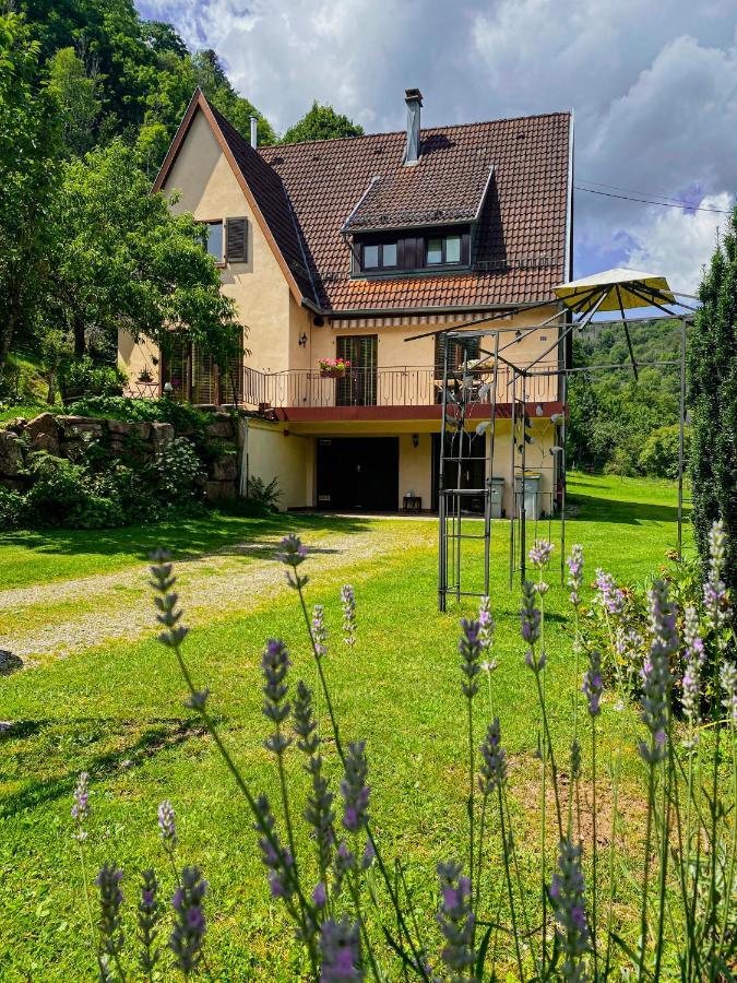 La Araucania, 2 Personnes - Wifi Rombach-le-Franc 외부 사진